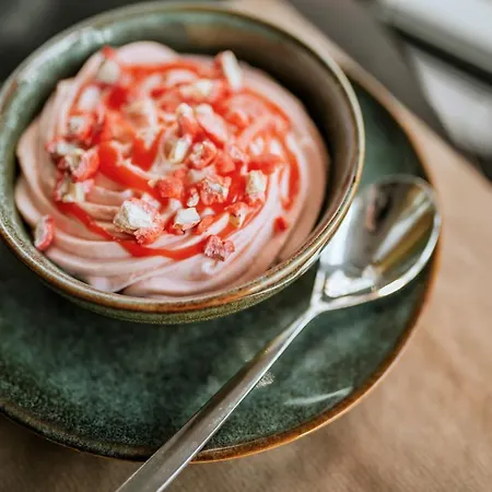 Hotel Lyon Nord 4 Etoiles